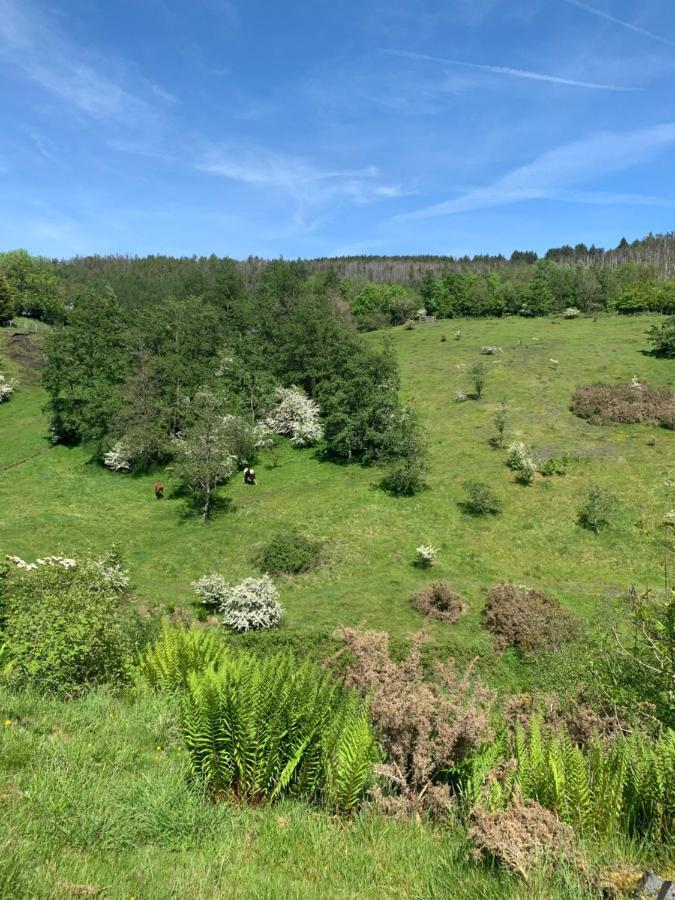 Cosy, Dog Friendly House On The Fringe Of The Brecon Beacons Villa Tredegar Екстериор снимка